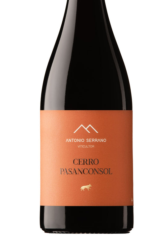 ANTONIO SERRANO CERRO PASANCONSOL