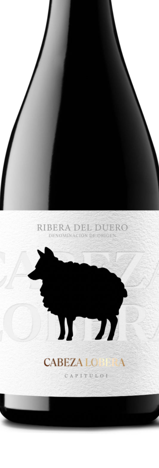 CABEZA LOBERA 9 MESES BARRICA