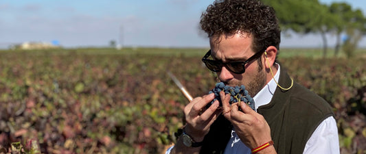 Entrevista a Antonio Serrano en Castilla La Mancha TV