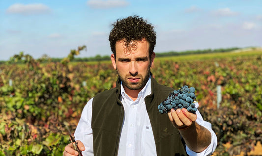 La vendimia en Bodegas Antonio Serrano y la apuesta por los vinos elaborados en tinajas de barro