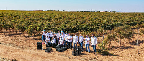 La bodega con nombre propio de Villarrobledo que elabora los vinos de «regreso al futuro»